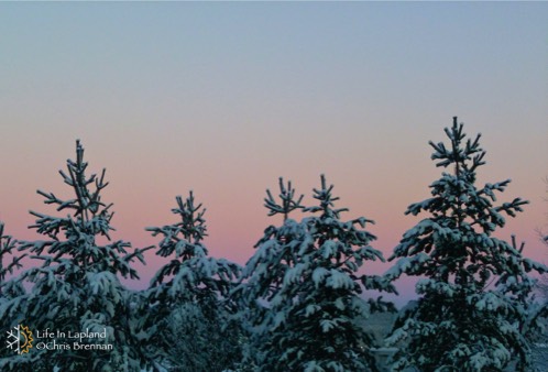 Polar twilight in Lapland
